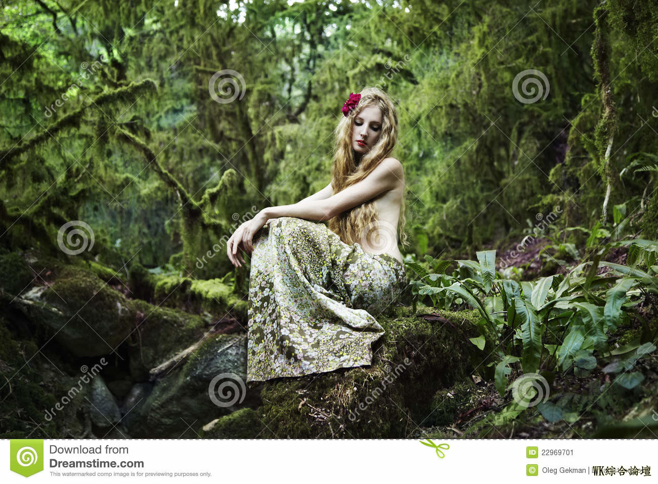 portrait-romantic-woman-fairy-forest-22969701 (1).jpg