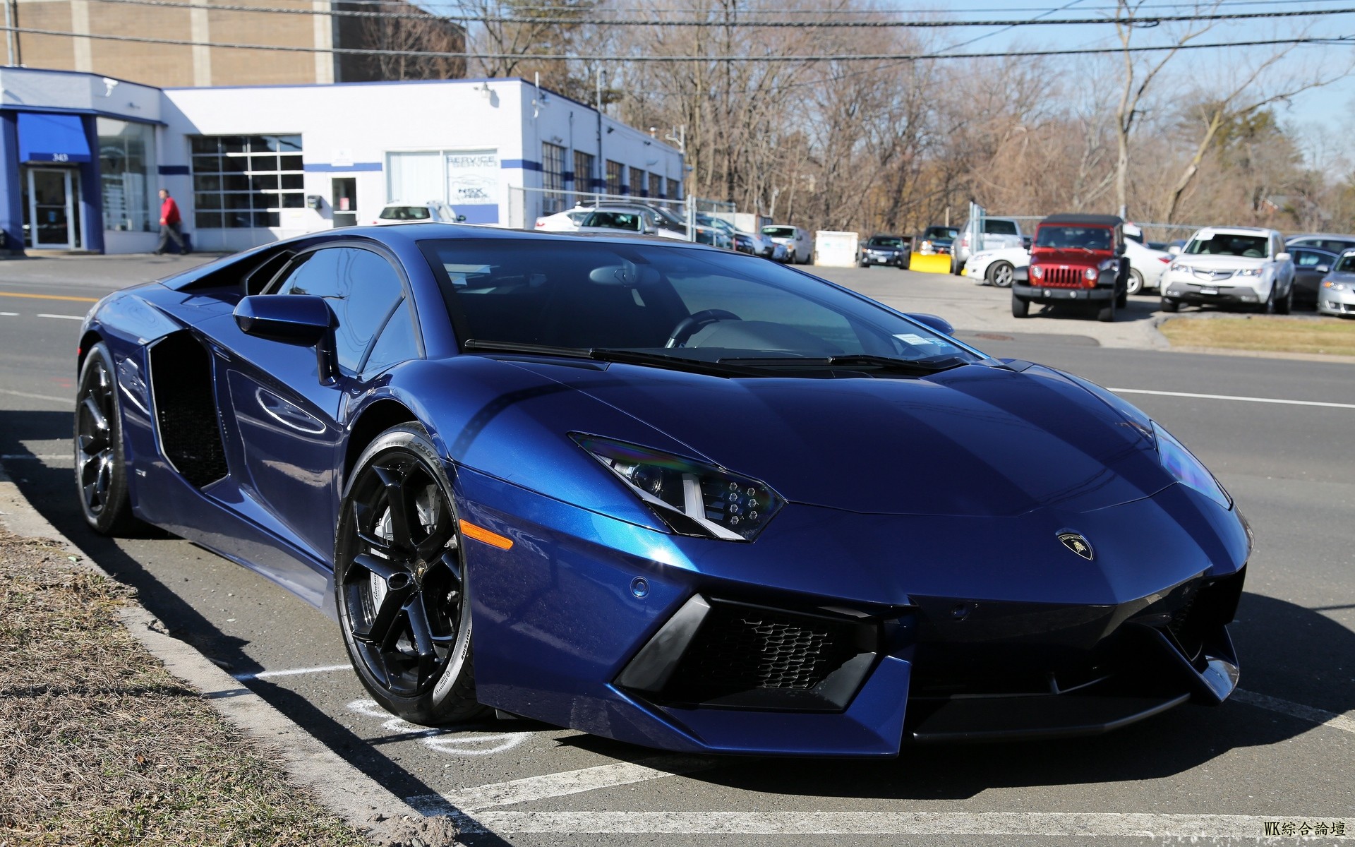 lamborghini_aventador_blue_lamborghini_96339_1920x1200.jpg