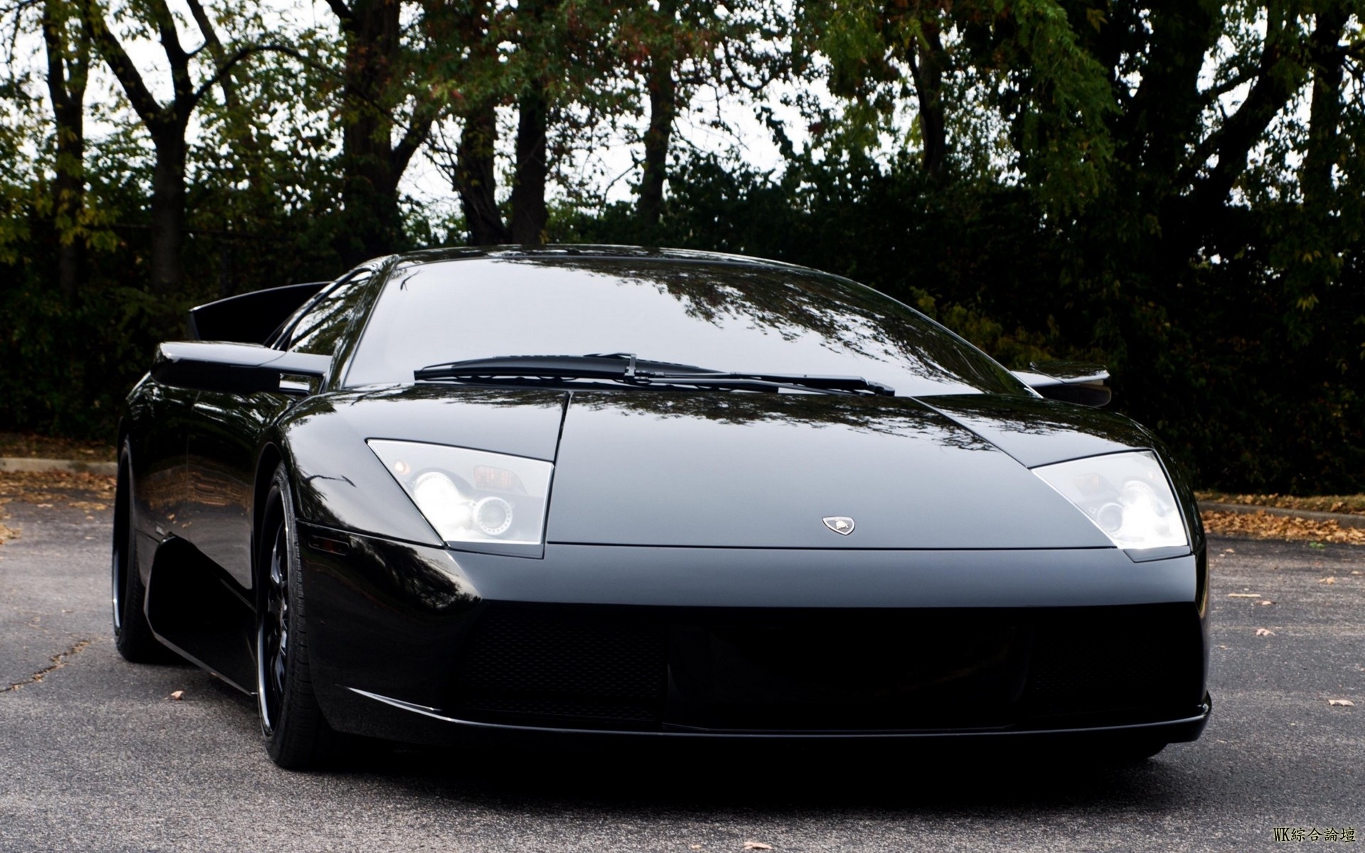 lamborghini_black_auto_83300_1920x1200.jpg